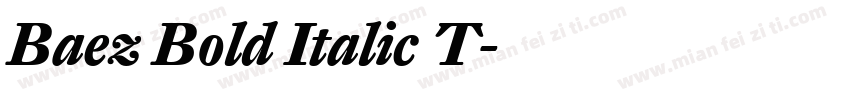 Baez Bold Italic T字体转换